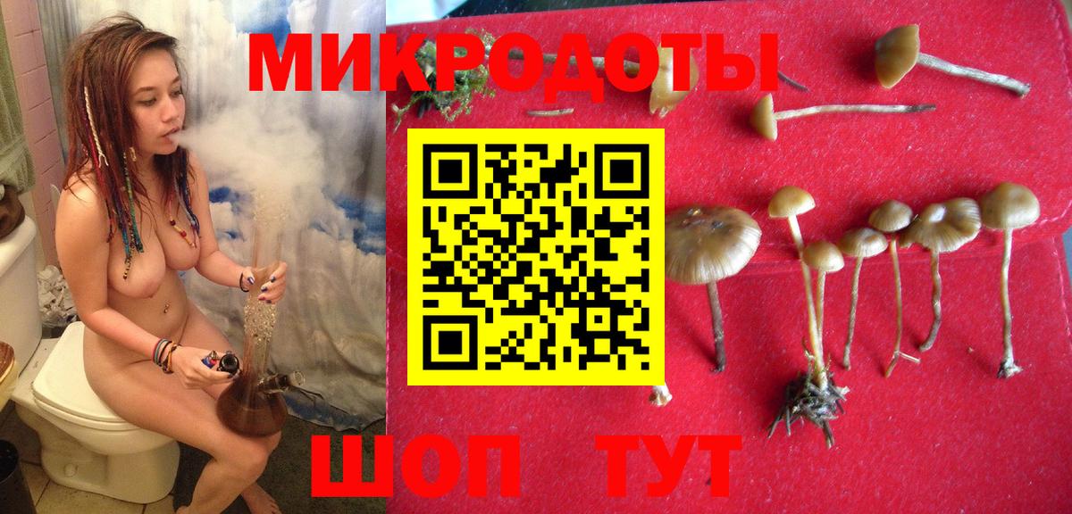 Галлюциногенные грибы MAGIC MUSHROOMS Волоколамск